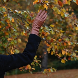 Cognac dame Randers handske - 208700