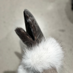 Sælskindsluffer - Grønlandske  med rulamsfoer